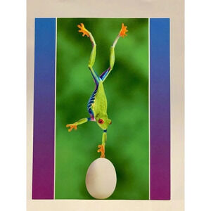 Leanin Tree FRIENDSHIP Greeting Cards VTG 6/pk Tree Frog Handstand Unused NLA